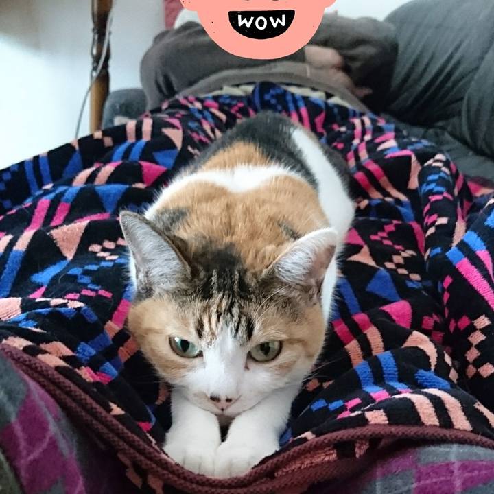 B226d83f 28a1 4341 81dd 28aeb91fabca 1553323088937