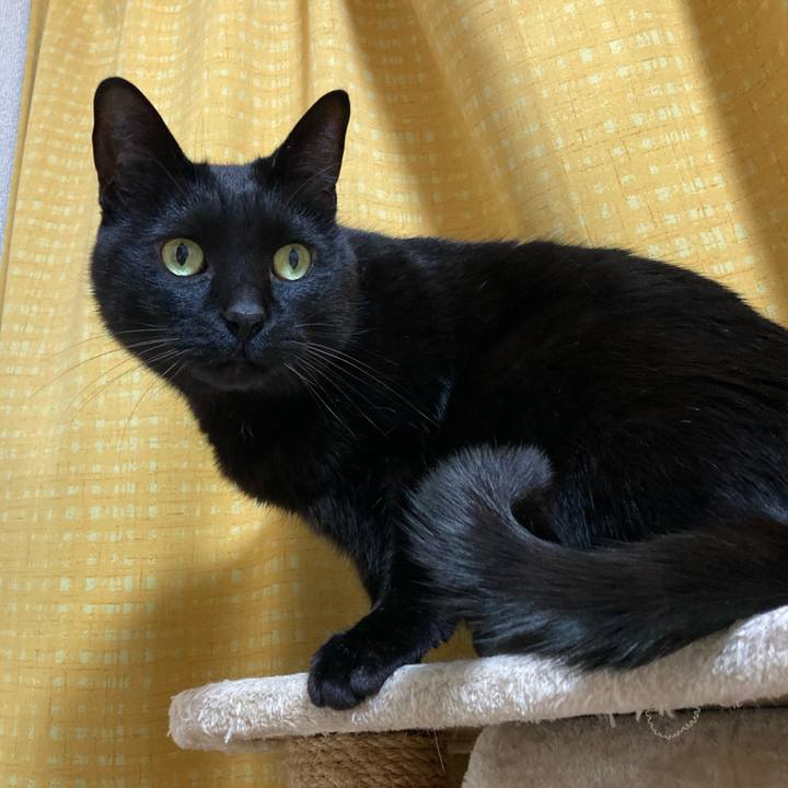 B2272fa1 6f4e 4471 84ba 552214659730 1776223900610