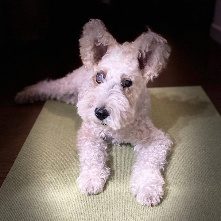 B2274746 e042 4690 aadf 6a0c1f2d53dc 1592659087664