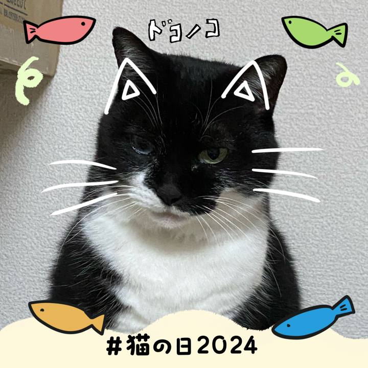 B2276179 9a8b 4f14 8b3c 93e39225362f 1708570754850