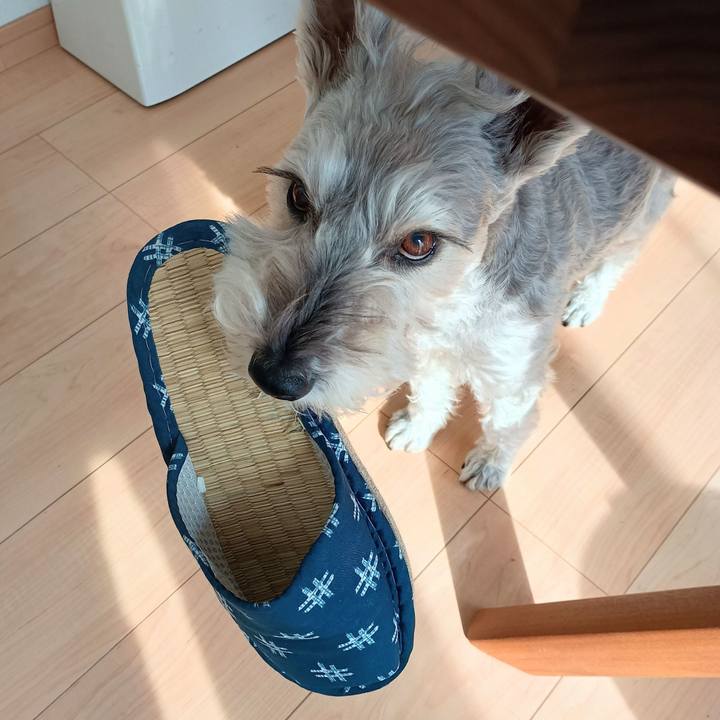 B2276fec 90aa 458d bd4b 2605e012d6fa 1764674345205