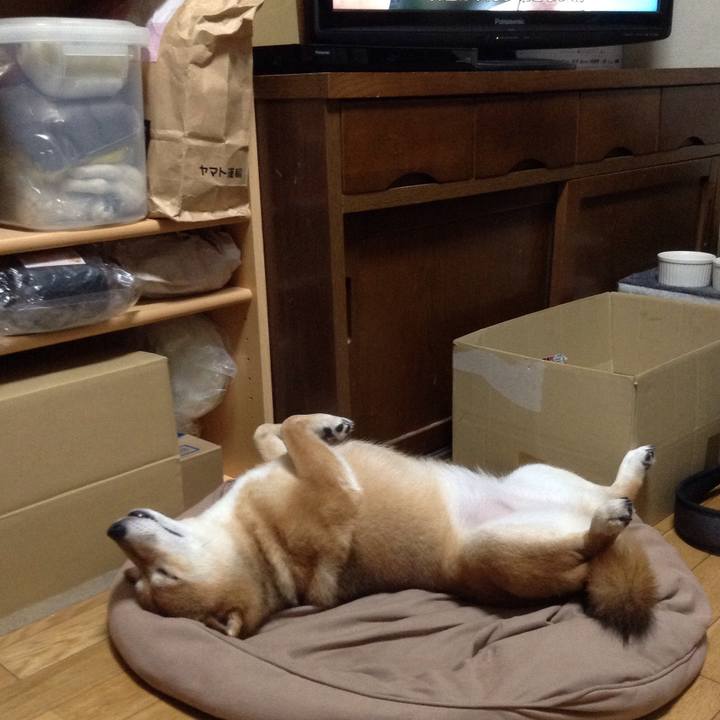 B22775ad 251b 483e 9fe7 1eea52424cff 1533993630663