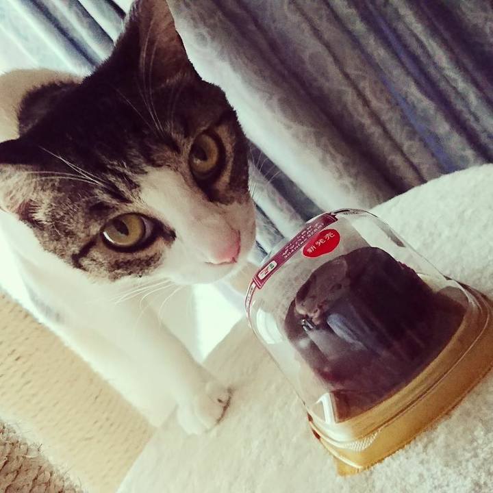 B227b82c fefb 43e7 b14d 293a8e73504c 1509860944525