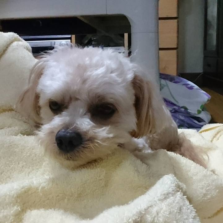 B22815d5 dd9b 4e54 a3b8 0175e8ff4714 1531721254468