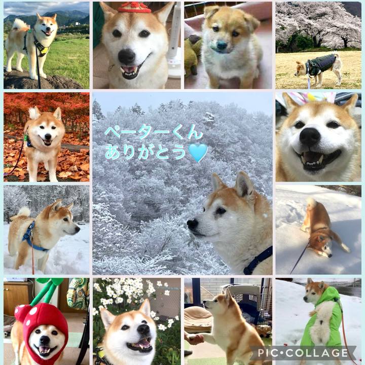 B22817af 9c7c 45b8 aef3 f53fa869ccea 1770219515886