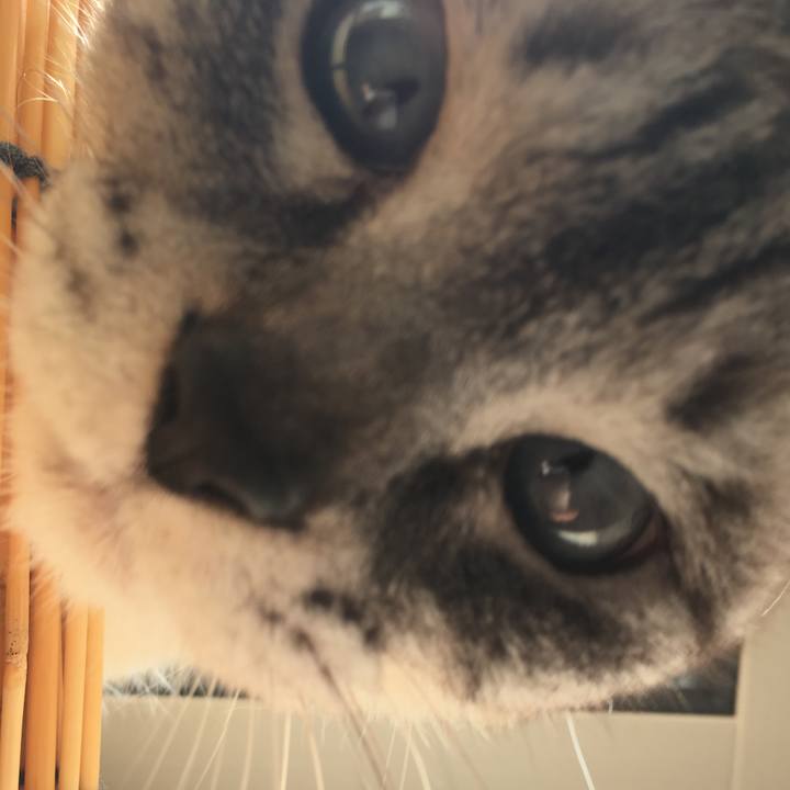 B2282e27 9fa6 4b3b a076 34aca20fff84 1587798093136