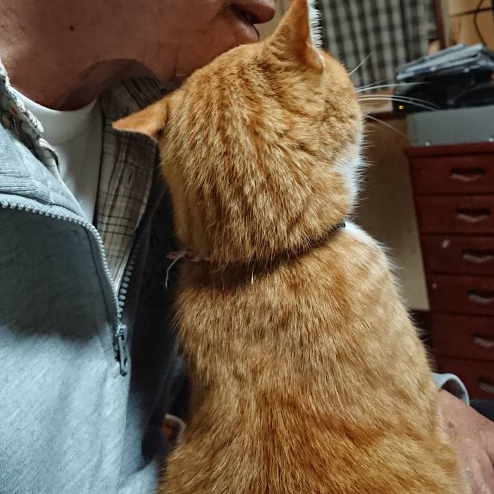 B22831fb 149b 46e9 975d 399e13afb76a 1605296465832