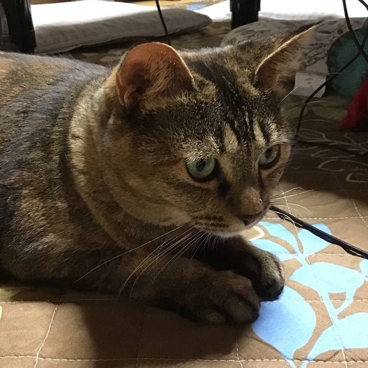 B2283830 1ffd 4548 b691 6503a81b77bc 1696509479283