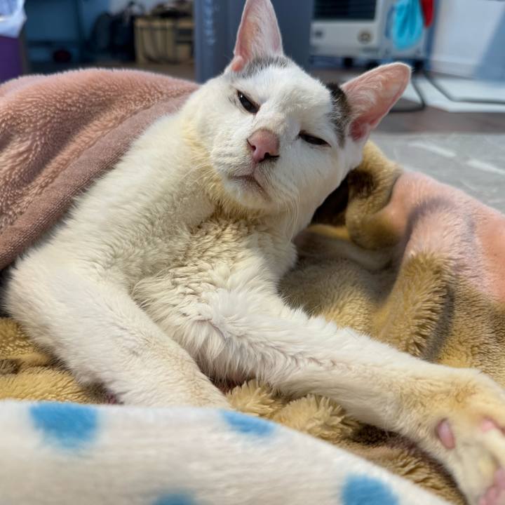 B2285c08 41e4 48bf 8463 743cfee70c0b 1770791385350