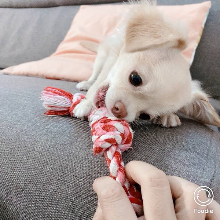 B22865d6 7560 4a35 b8e8 3c9c4566180a 1597912730859