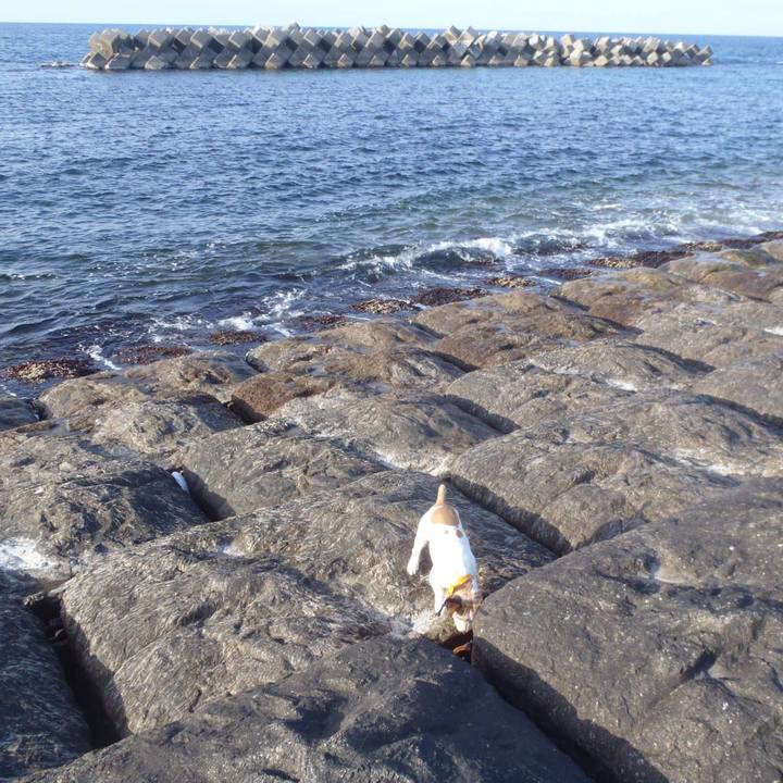 B2286ad6 bf03 4016 a5da d5a521abea1b 1522557817785