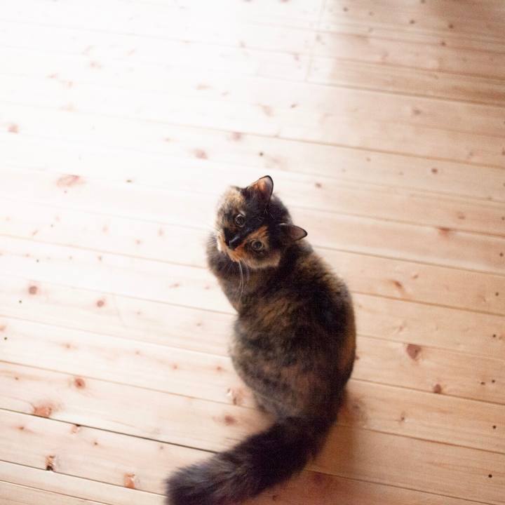 B228fe01 6d44 43e7 ac3d c4961fbc3223 1579397734561