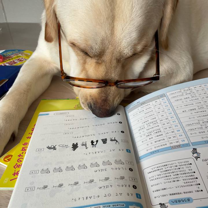 B22921df 15c1 425c 9f3c a59a8bdca401 1657519568775