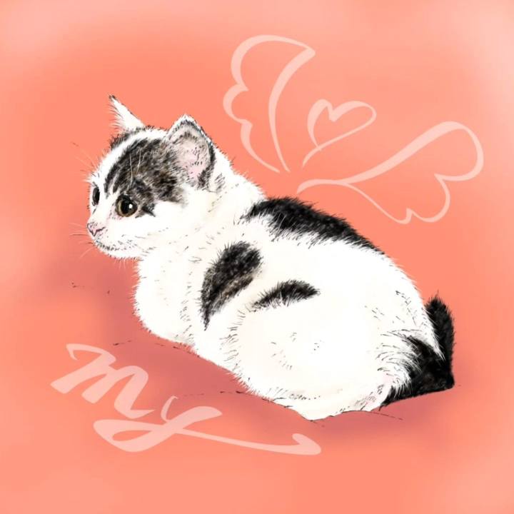 B22930c1 6369 4a98 a94d d36cbba67fec 1712562310889