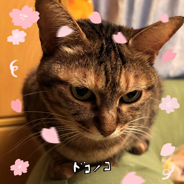 B22955eb 6cad 4fc6 a7d1 850468ea4d2b 1744624821029