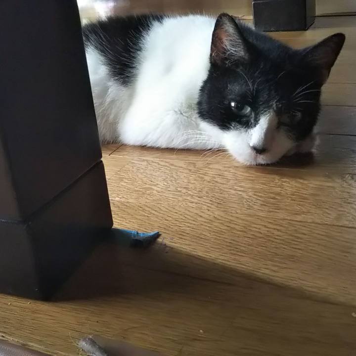 B2296423 7664 4cfd 9aae 54bb604a97da 1602063390196