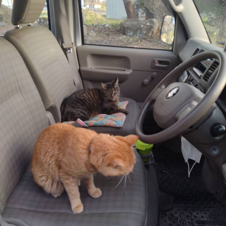 B229b046 22dd 47e9 880c 73ca76008eed 1681374340658