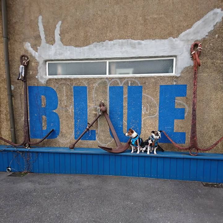 B229bd59 cb02 47d6 9dcc 0eab6280310d 1578717826322