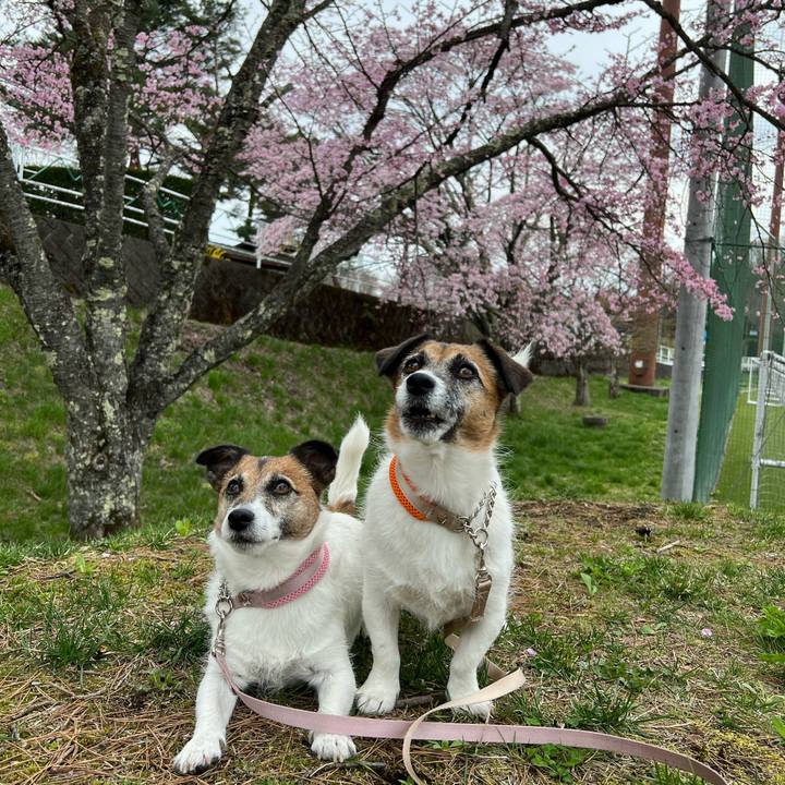 B22a224d a1f6 4261 a4a0 238dcd7e0099 1714356167417