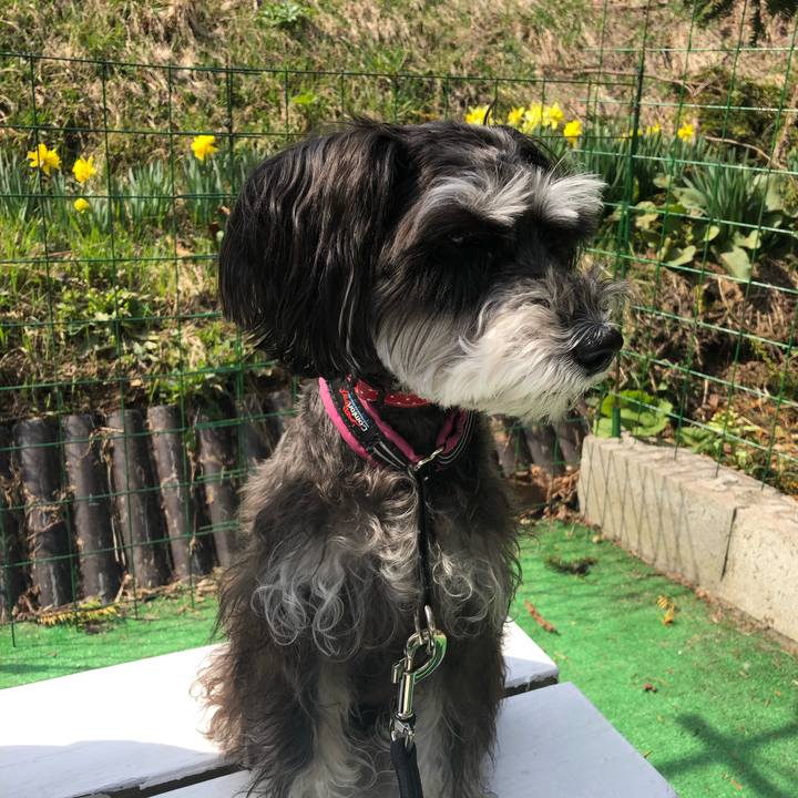 B22ab233 daf9 4c00 9d78 388efe81ba3d 1556596041460