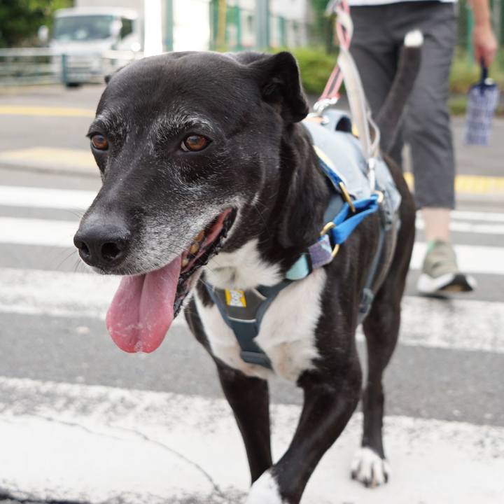 B22ac548 4b50 4514 bd6e a3dc5e4a2e50 1758933703043