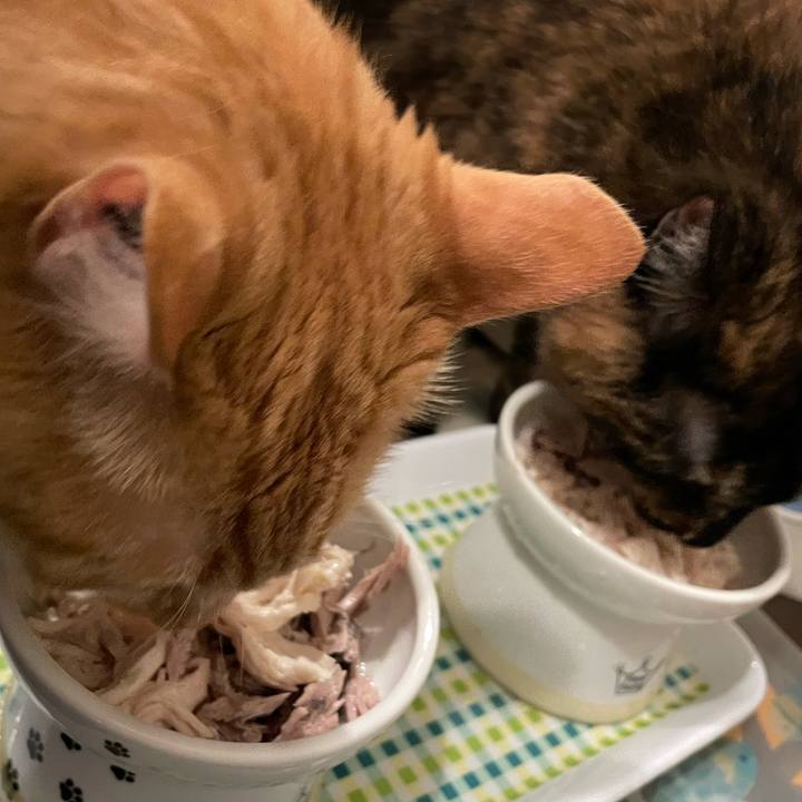 B22aed0f bb94 48ea 9cf5 d441e6cb669c 1751630459048