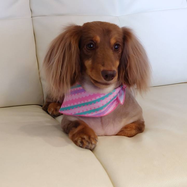 B22af1f2 242f 4116 b224 0e26f58e2d11 1625898727227