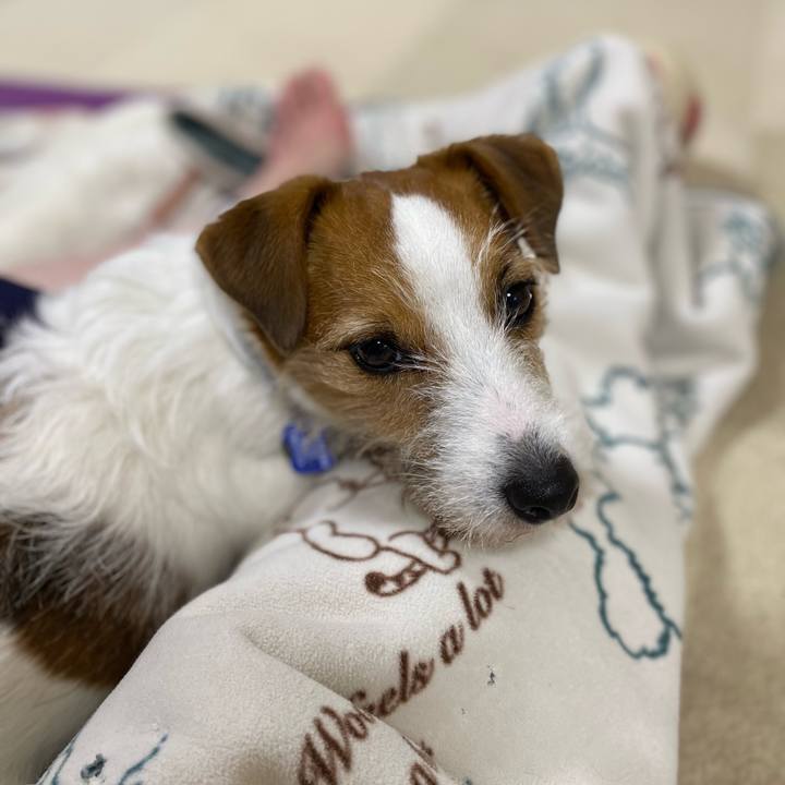 B22af8e3 bbf7 497e 887d 7ed7bea9cdef 1716732576193