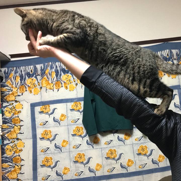 B22b3aea be72 4dc2 8eb4 65d5476b3b75 1512398048874