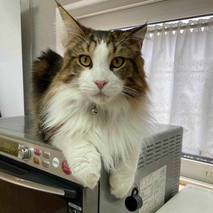 B22b5176 d286 4df6 99f0 2cf9fc62314d 1654333636288