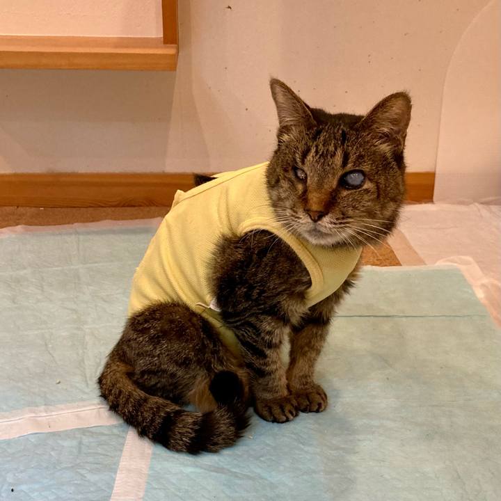 B22b61f3 48ce 4149 b21e 8cefd1f29843 1684841794582