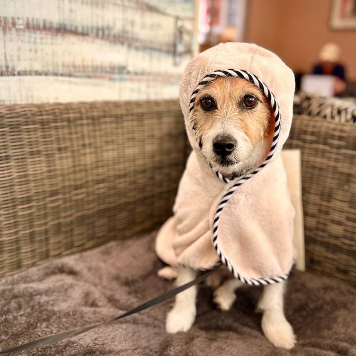 B22b845a cce9 495b 837d c1815d5909ca 1750579297330