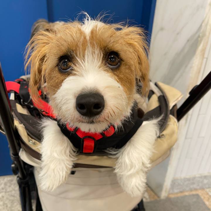 B22b8abc 8fb8 41ca 8c66 22bb01a12d32 1763443351499