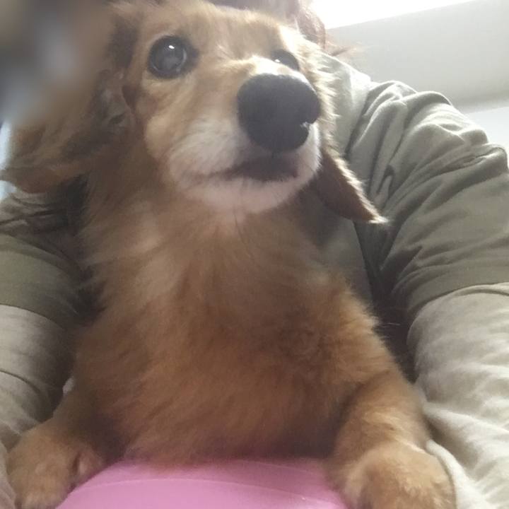 B22bb67a 97a0 4c41 8f40 2deabf44531d 1630936752701