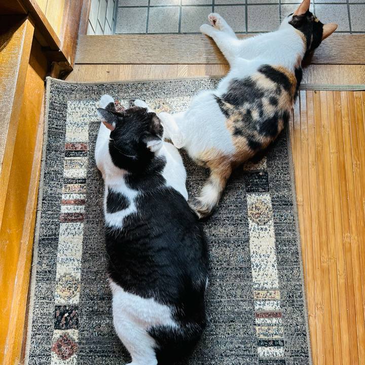 B22bc78a 9186 4fff a830 582c221f917c 1694912416047