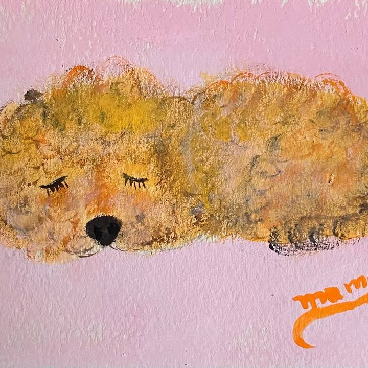 B22bf729 c838 4b02 9e74 9b6742878db4 1747321028772