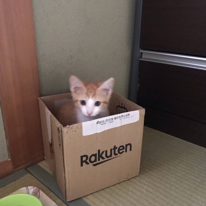 B22c2a9e 0eb2 43d8 a61e d1f6649c2fb6 1574134213601