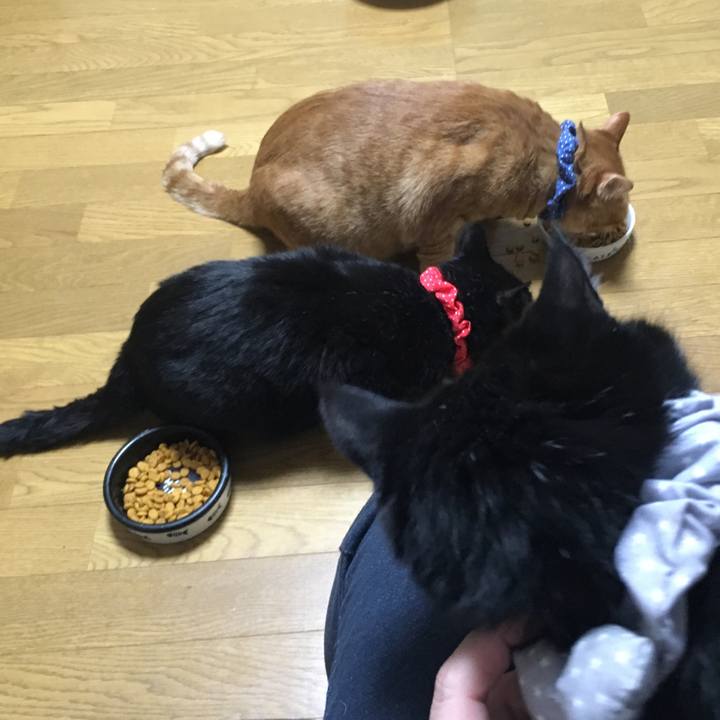 B22c6ef0 f358 47d2 9289 8c2a8c612c54 1544699693734