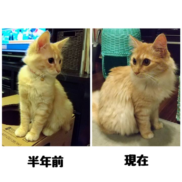 B22c92a0 31d0 4a7f a467 ef28d2a3a089 1624486791766