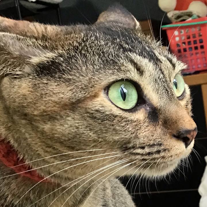 B22c968e 499f 448e be46 2772a9704e48 1628855139172