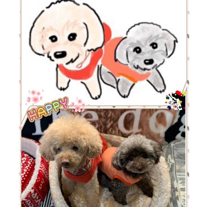 B22cd09e d231 483d be79 0d30fa7b908a 1585207057477