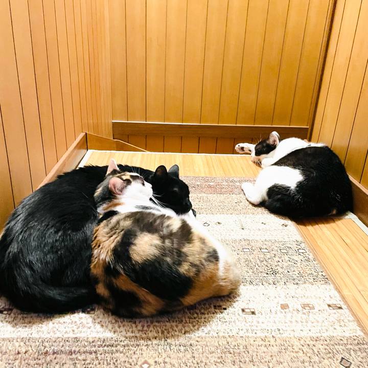 B22d0ef2 8d10 409f 81fa 2903f0771af2 1633830978343