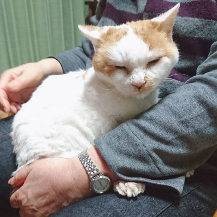 B22d1f7a 630e 4f7c 9ab9 aa10edf21cda 1581769238759