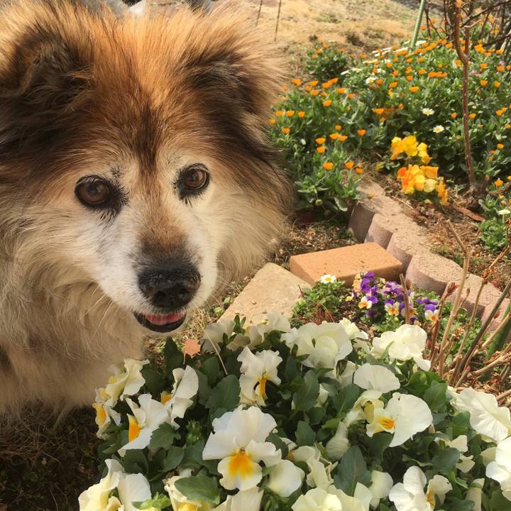 B22d3c31 8d22 4f4b 8b42 0cb3cd043881 1613186437358