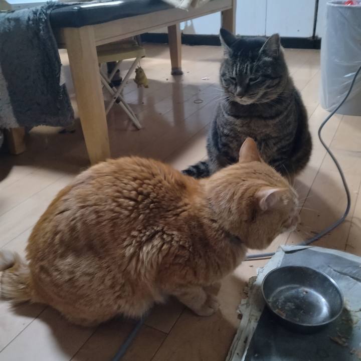 B22d598a b19a 416c bbd2 755cbf8016fe 1677837302889