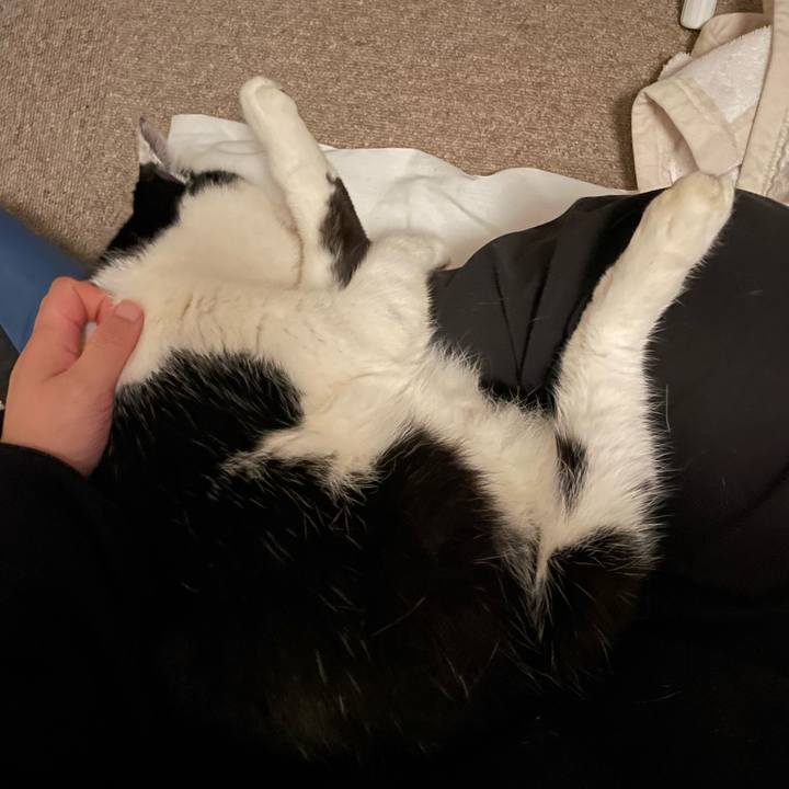 B22d59d5 a724 4462 b73b 8052c1969d3a 1708353505624