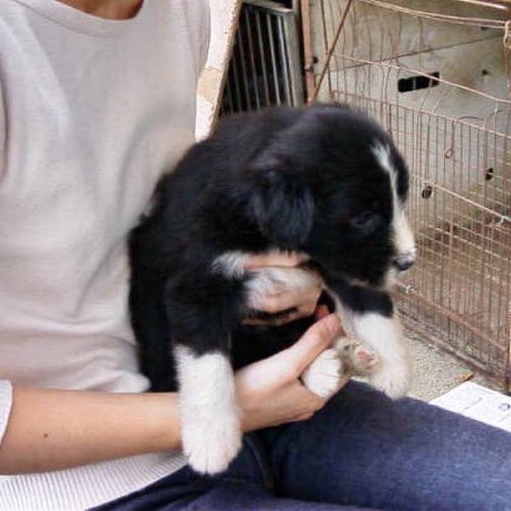 B22d75ab 1379 4cca 8089 4d8e9373f014 1530958969042