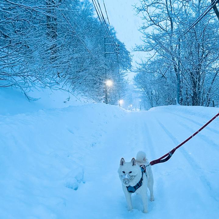 B22d7c9a f40f 4bd9 823b a12ac9551dc6 1735597782032