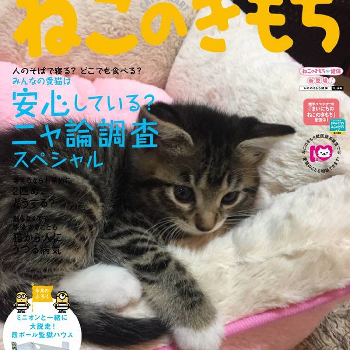 B22d86a7 0b95 48e2 b465 ef073aecc02d 1548721803979