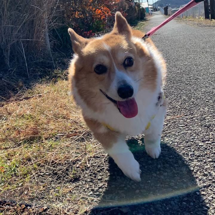 B22d88d8 58eb 489f 8132 2da647927771 1705288715440